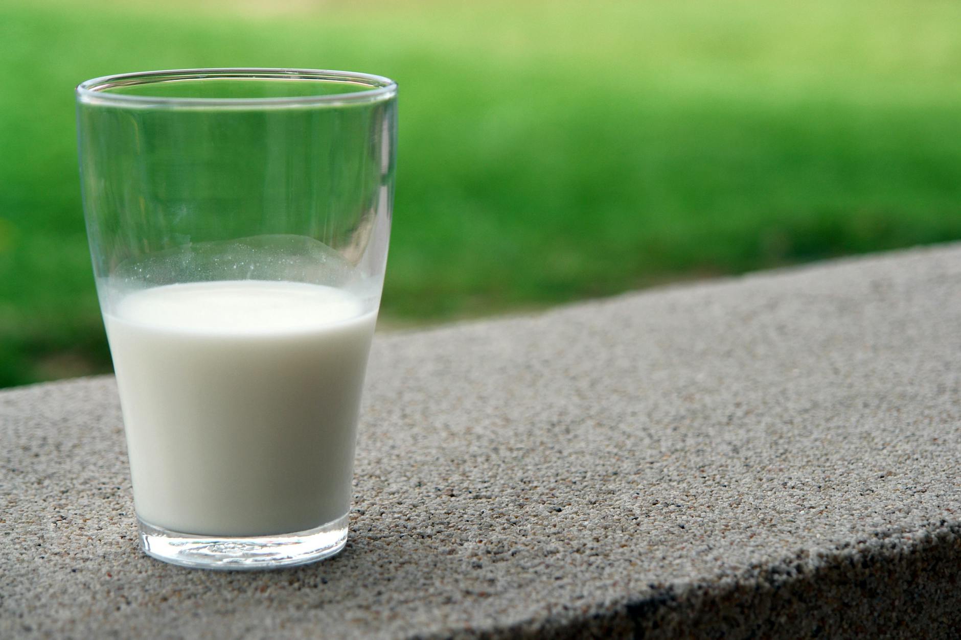 🌿 Le lait de chanvre : la boisson végétale qui a tout bon (et prête en 5 minutes)