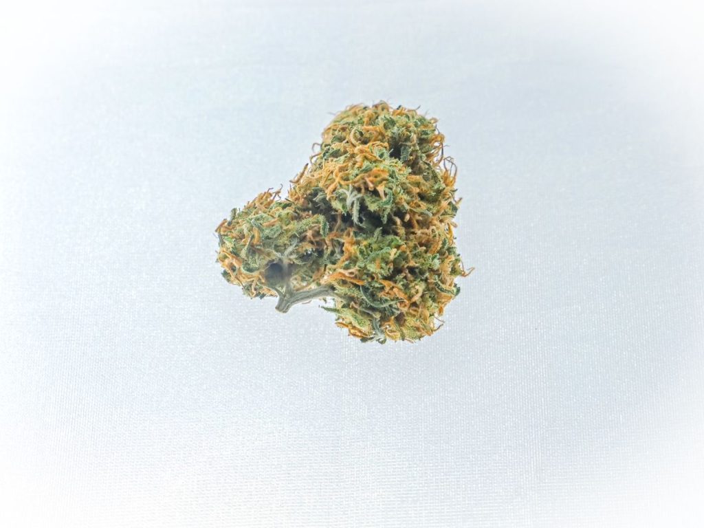 Amnesia D10 – Fleur Premium