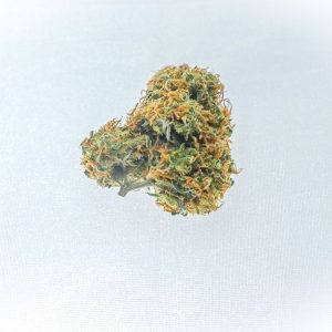Fleur de chanvre Amnesia D10 sur fond blanc
