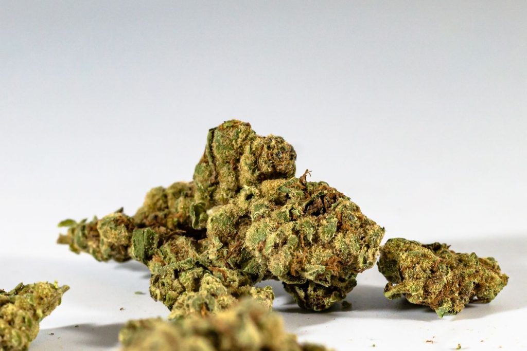Amnesia THCX – Fleur Premium