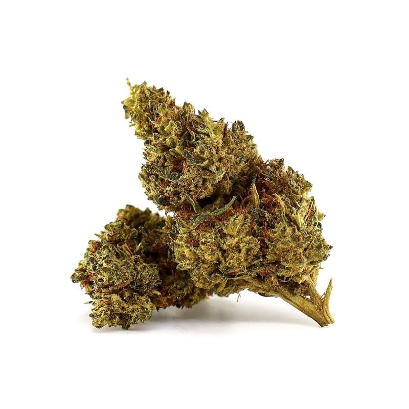 Critical 2.0 D10 – Fleur Delta-10 50 %