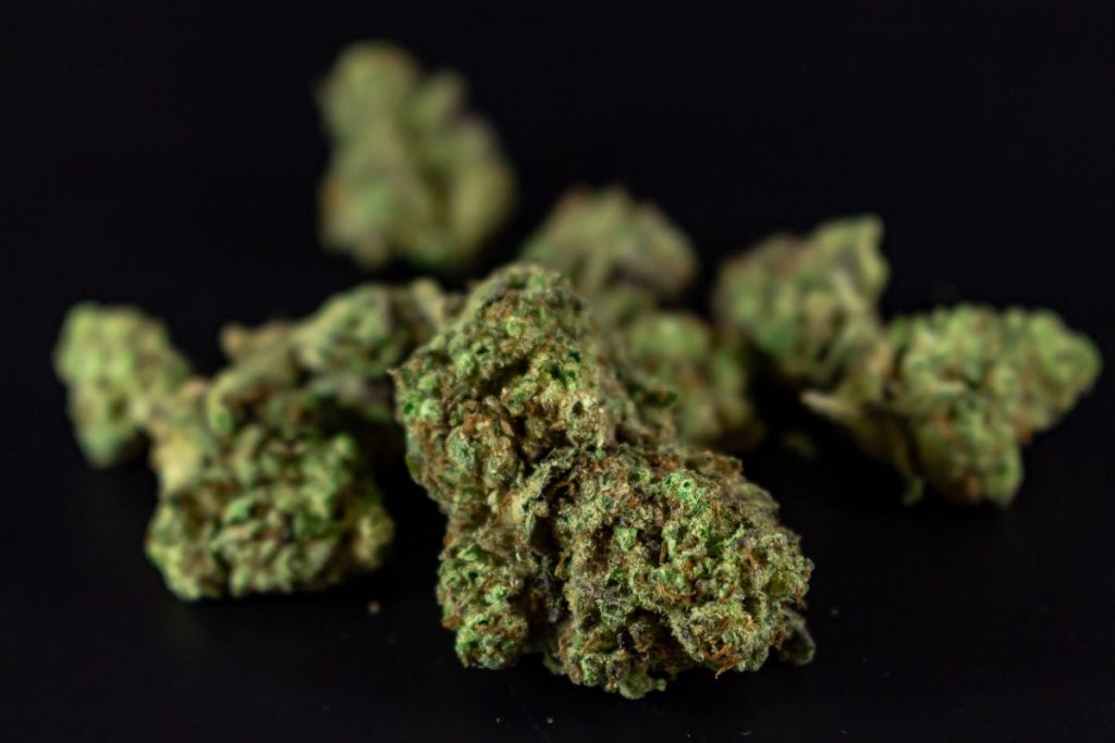 Ketama THCX – Fleur Indica
