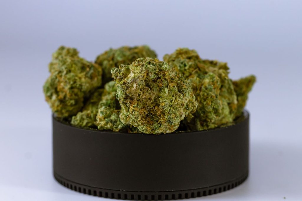 Pornstar D10 – Fleur Premium