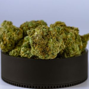 Fleurs de chanvre Pornstar D10