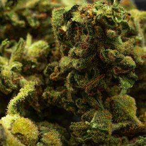 Trim THCX, fleurs de chanvre en gros plan